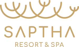 6238b25237003fe6b162c32a saptha gold color logo1000px